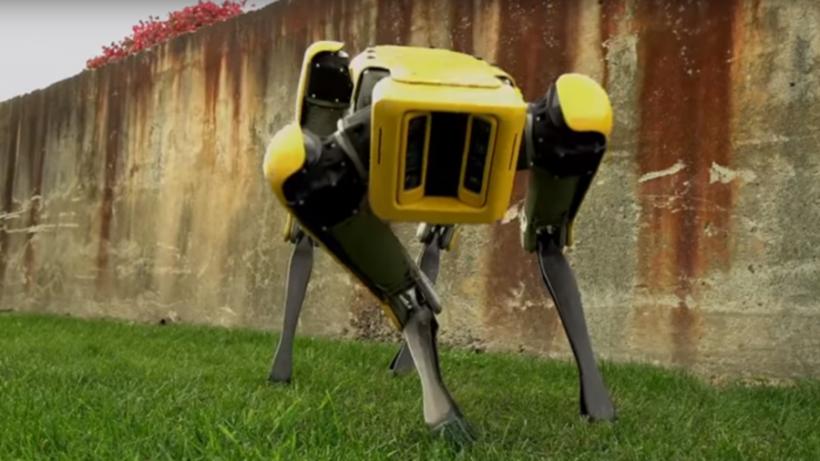 VIDEO - Un nou robot care se mișcă precum un cățel, prezentat într-un scurt filmuleț de Boston Dynamics