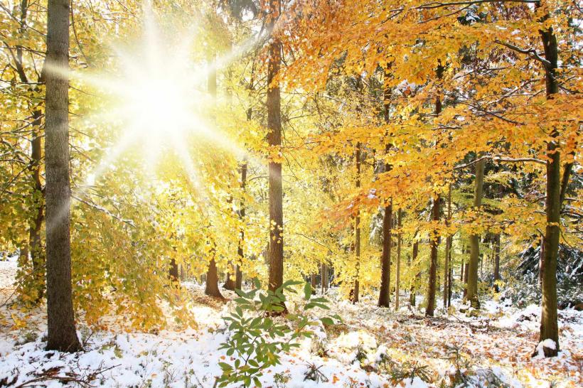 Prognoza METEO pentru 16, 17 și 18 noiembrie: Vremea se schimbă dramatic în următoarele zile!