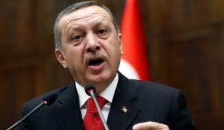 Erdogan respinge scuzele NATO după ce a fost prezentat ca &quot;inamic&quot; în cadrul unui exerciţiu al Alianţei în Norvegia 