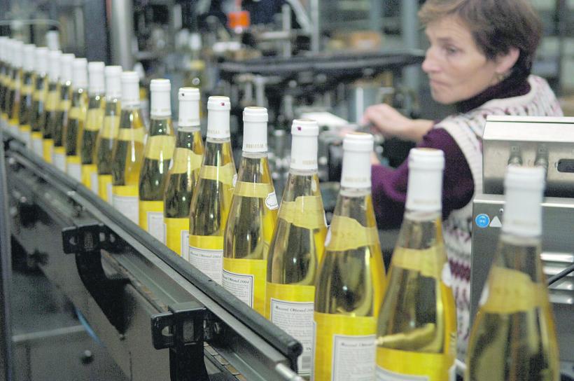 Practici evazioniste în falimentul Murfatlar 18594724