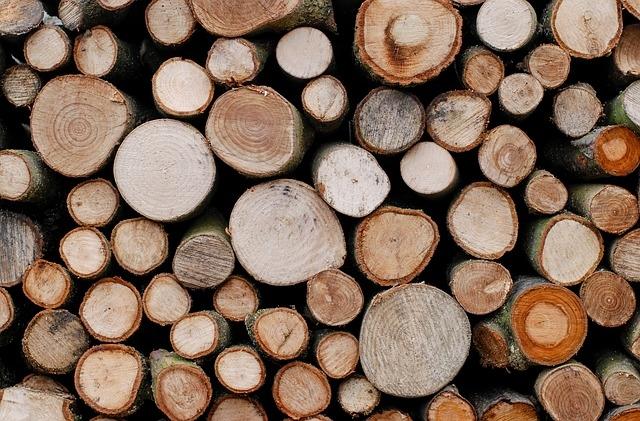 România îşi transformă statutul de ţară exportatoare de lemn în ţară importatoare