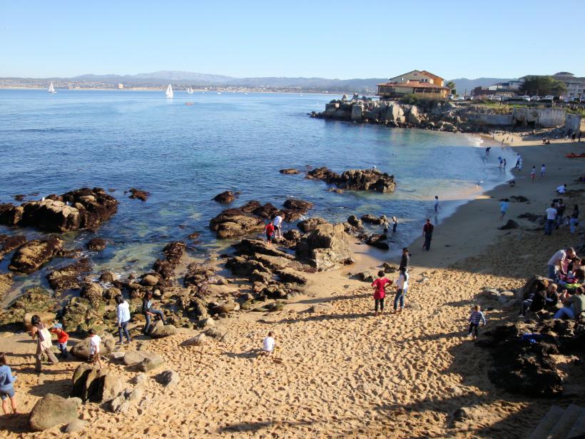 O plajă din California a fost evacuată după atacul unui rechin