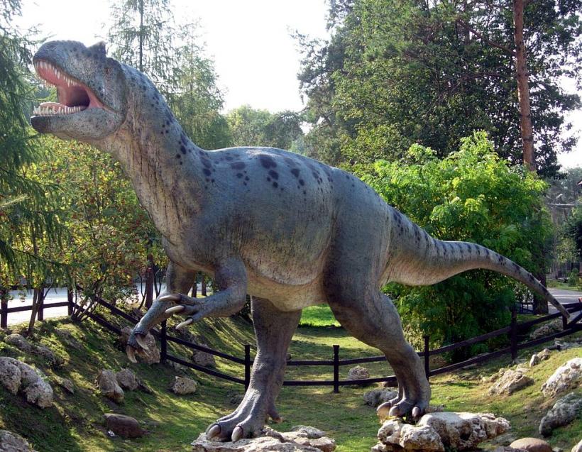 Expoziţie de fosile ale unor mamifere preistorice, lansată de Ziua Naţională la Dino Parc din Râşnov