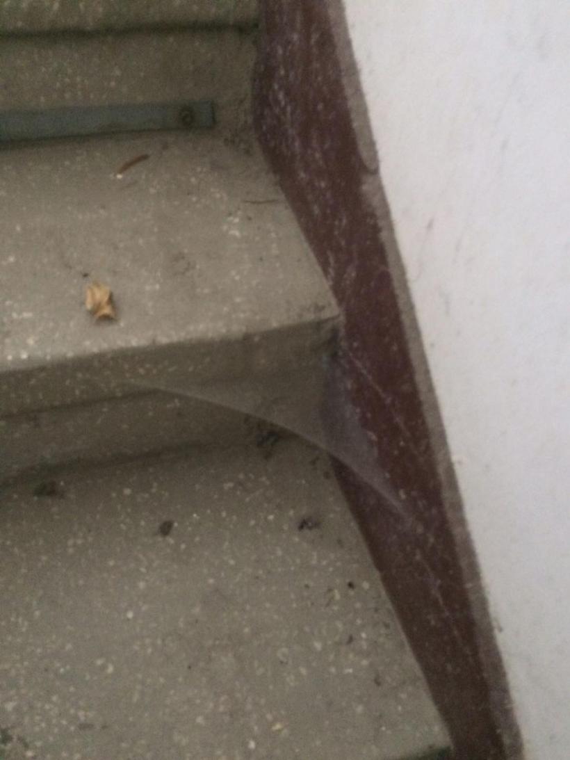 Fosta Casă a Sindicatelor din Alba Iulia, transformată în ruină prin grija CNSLR Frăţia 18596517