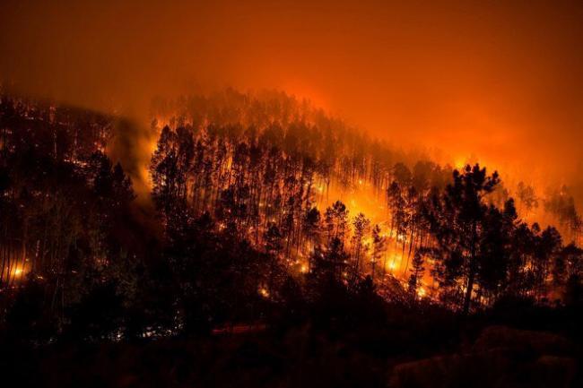Incendii în California: Peste 8.500 de pompieri au fost mobilizați să lupte cu flăcările 