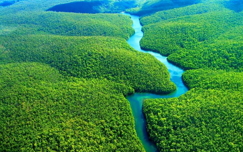 O pădure din Amazonia peruană va purta numele Papei Francisc