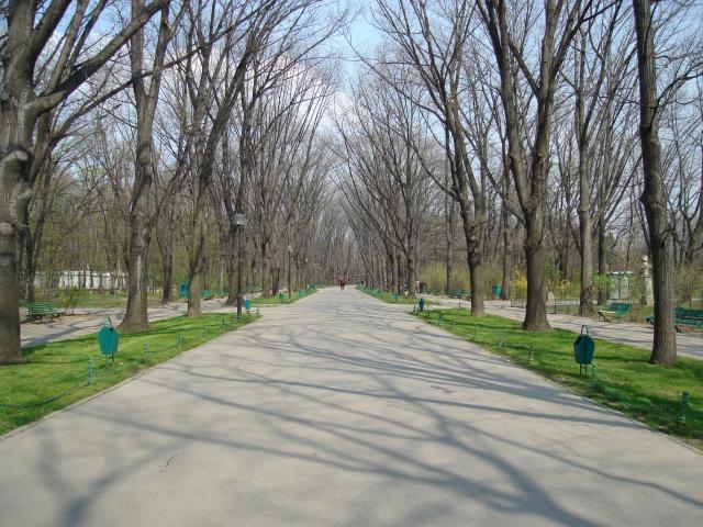 Parcul Herăstrău şi o porţiune din bulevardul Kiseleff vor purta numele 'Regele Mihai I'