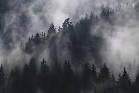 Ceață în mai multe județe din Oltenia, Dobrogea și Muntenia
