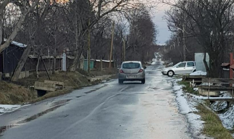 O şoferiţă din Neamţ a rămas fără permis după ce a dat cu maşina peste doi câini şi n-a oprit să vadă ce s-a întâmplat
