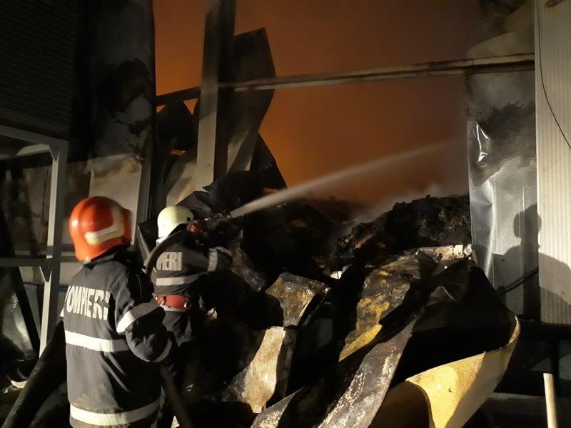 Incendiul de la fabrica de conserve din Topoloveni a fost lichidat dupa 19 ore
