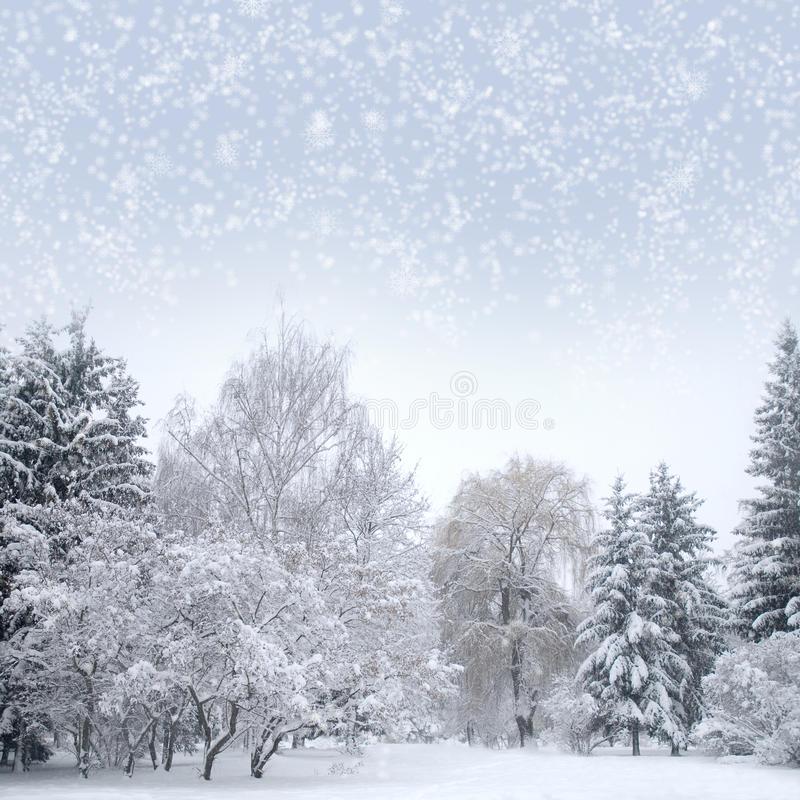 Prognoza METEO pentru 12, 13 și 14 ianuarie: Lapoviță și ninsoare