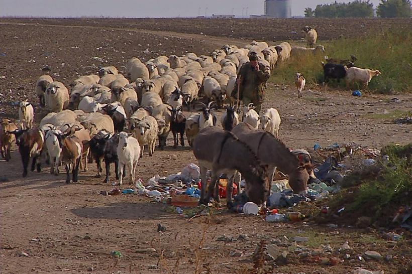 România, înecată în gropi de gunoi clandestine