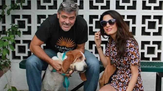 Dupa 20 de ani, George Clooney revine în televiziune