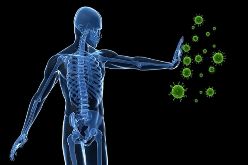 Stiai că organismul uman are 7 sisteme de imunitate? Află care sunt acestea