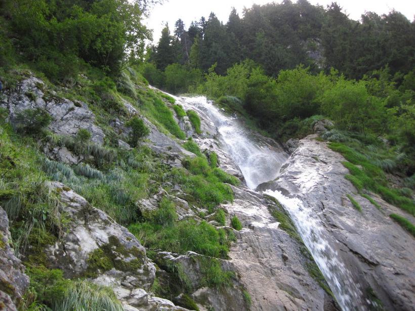 Două noi surse de apă minerală fără nitraţi detectabili au fost descoperite în Munţii Carpaţi 