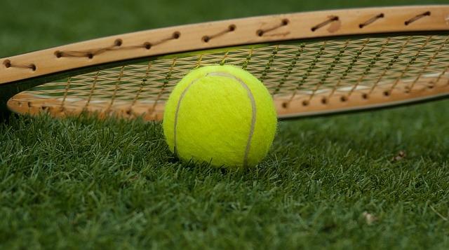 Tenis: Victorie a României in fata Luxemburgului, în Grupa a II-a a Cupei Davis