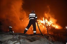 Alertă în Botoşani! Zeci de tone de furaje au ars şi mai multe animale au murit într-un incendiu puternic la un depozit