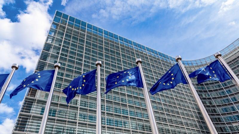 Consiliul UE îşi exprimă speranţa că autorităţile române vor răspunde îngrijorărilor Comisiei Europene