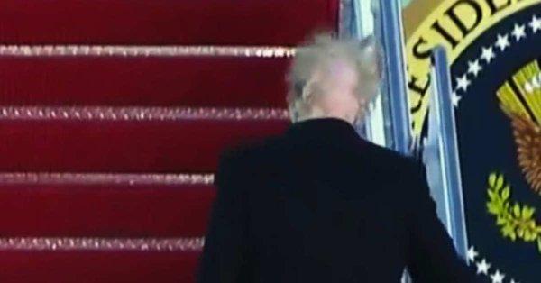 VIDEO - Chelia lui Donald Trump, viral pe internet