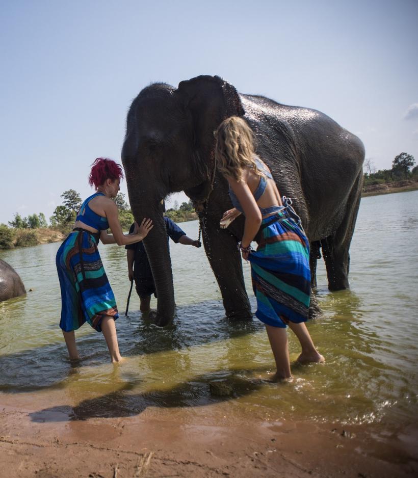 Spălat de elefanți, gătit carne de șarpe sau tatuaje permanente printre probele din Asia Express 18604714