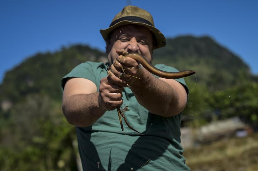 Spălat de elefanți, gătit carne de șarpe sau tatuaje permanente printre probele din Asia Express 18604718