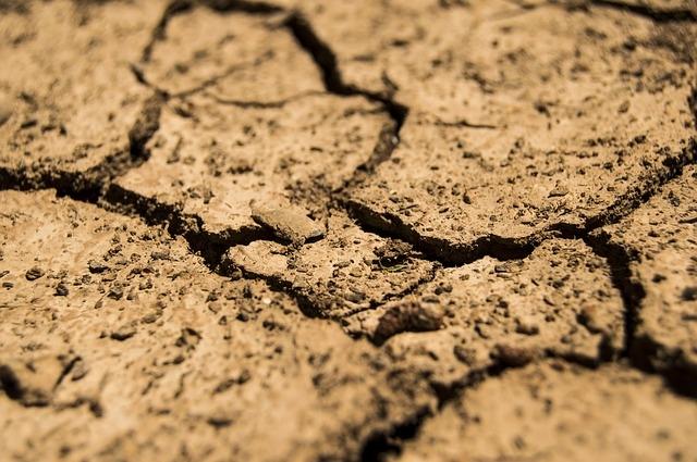 Stare de catastrofă naturală in Africa de Sud din cauza secetei istorice