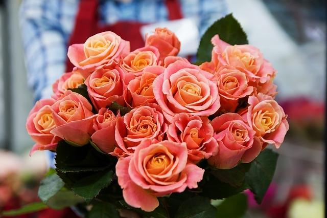 România a importat trandafiri în valoare de 16,68 milioane euro