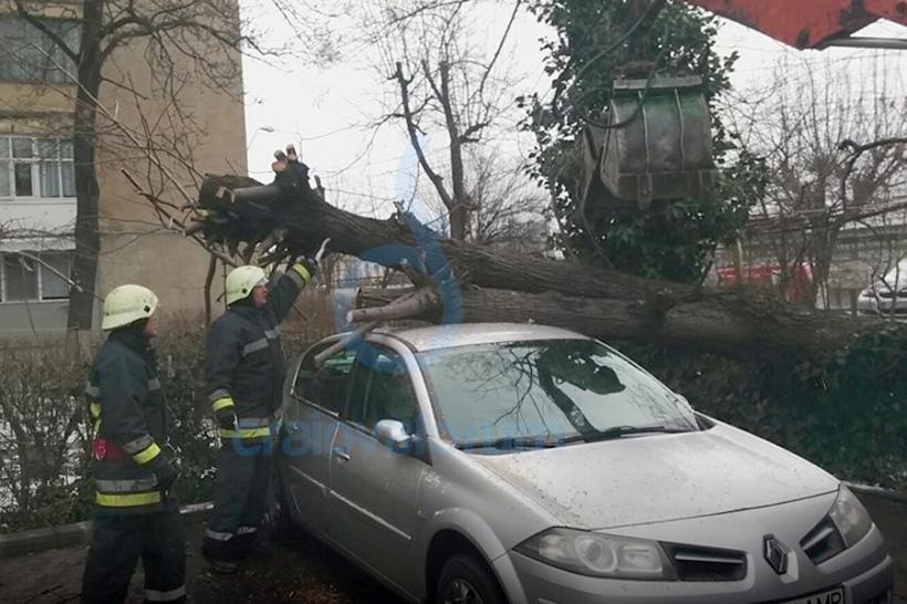 Un copac s-a prăbușit peste o mașină ăn Craiova
