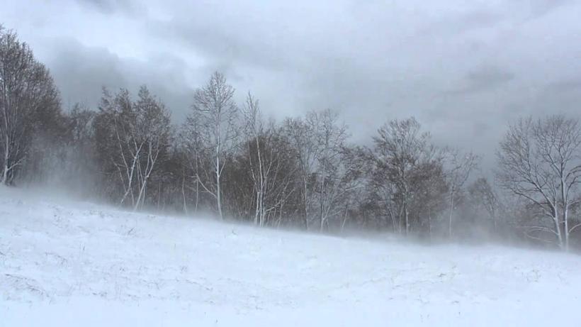 Meteorologii au emis o avertizare cod galben de vânt, în zone montane din Buzău şi Vrancea, în următoarele ore