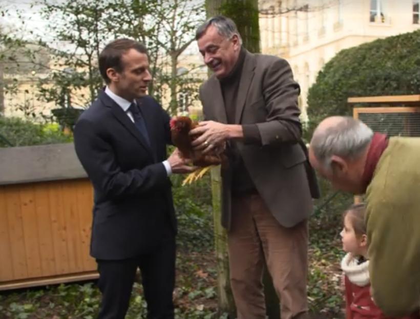 VIDEO - Găina Agathe a făcut primul ou prezidențial la Palatul Élysée