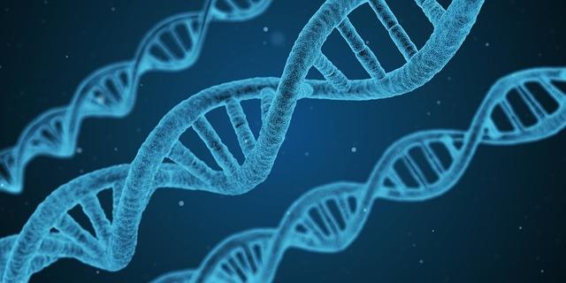 Inteligenţa poate fi evaluată printr-un simplu test ADN