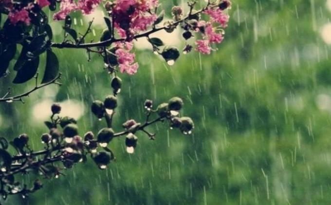 Prognoza METEO pentru 13, 14 și 15  martie: Ploi slabe