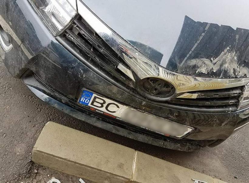 Ireal! O haită de câini a reușit să vandalizeze o maşină nouă în Bacău