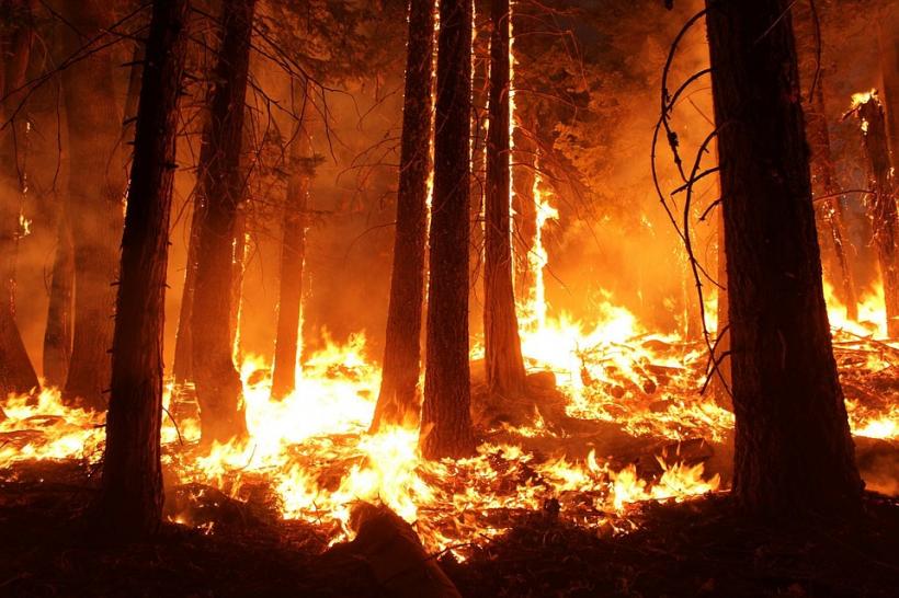 Sute de oameni sunt nevoiți să-și părăsească locuințele din cauza incendiilor de vegetație
