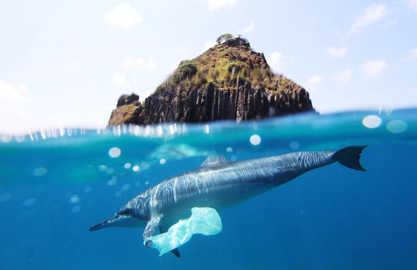 Muntele de plastic din Pacific are suprafață de două ori cât mărimea Franței și cântăreste 79.000 de tone
