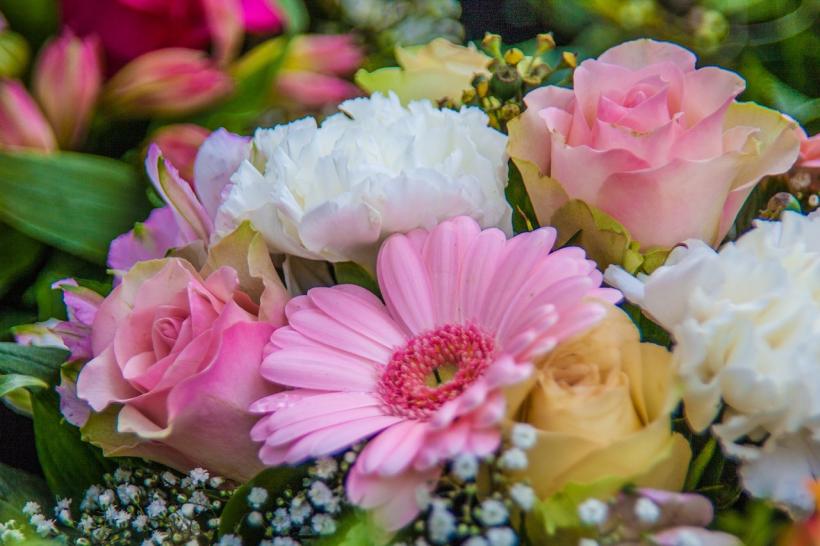 Tu știai că trebuie să-i celebrezi și pe Anton, Suzana și Silviu de Florii? Aproape 1,5 milioane de români își celebrează onomastica în Duminica Floriilor
