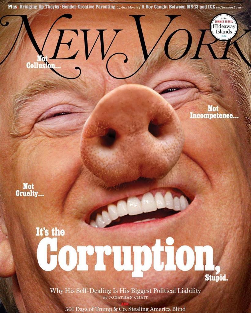 New York Magazine publică pe copertă un portret al lui Trump cu... rât