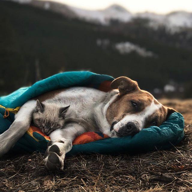 GALERIE FOTO - Cuplul neobișnuit de excursioniști care a cucerit internetul 18611833
