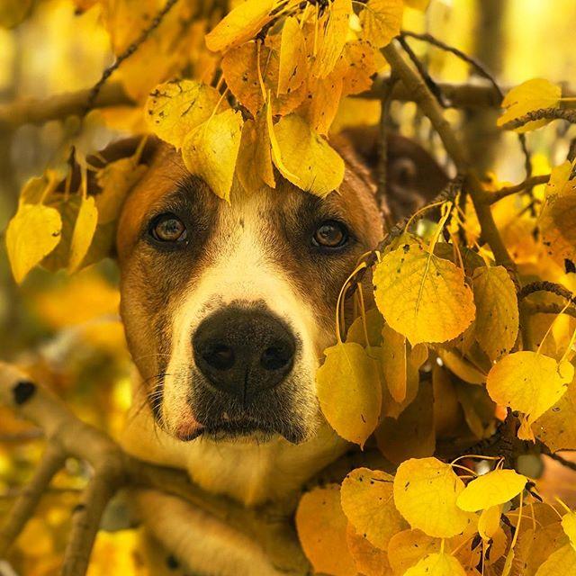 GALERIE FOTO - Cuplul neobișnuit de excursioniști care a cucerit internetul 18611837