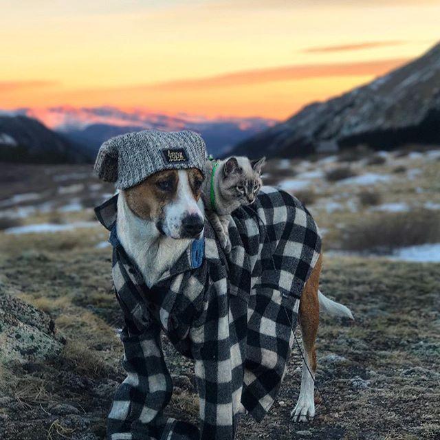 GALERIE FOTO - Cuplul neobișnuit de excursioniști care a cucerit internetul 18611842