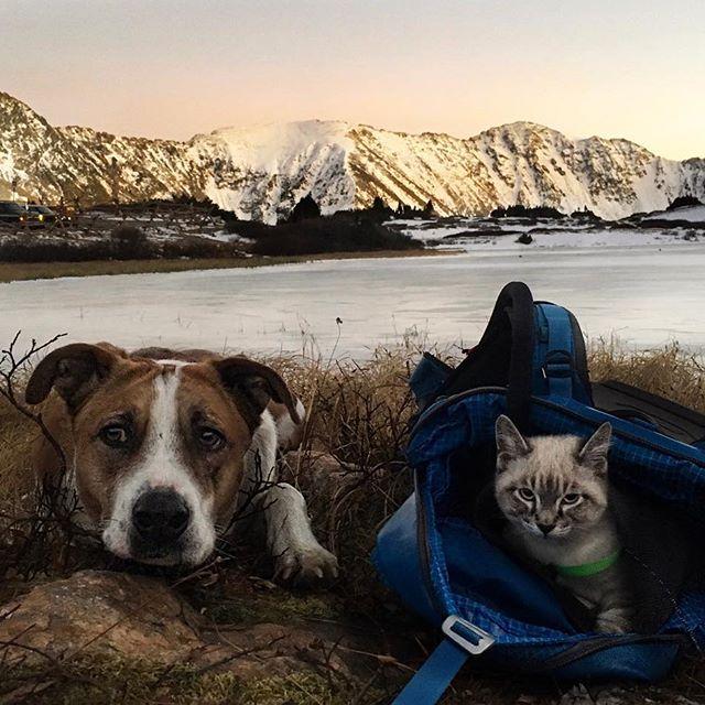 GALERIE FOTO - Cuplul neobișnuit de excursioniști care a cucerit internetul 18611847