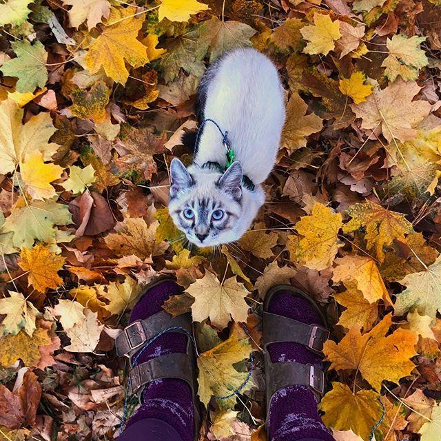 GALERIE FOTO - Cuplul neobișnuit de excursioniști care a cucerit internetul 18611849