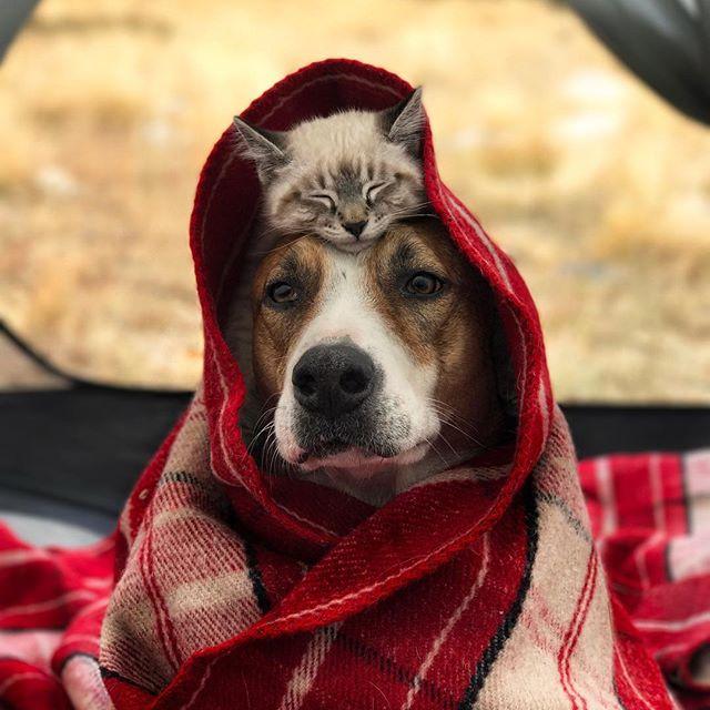 GALERIE FOTO - Cuplul neobișnuit de excursioniști care a cucerit internetul 18611850