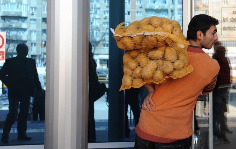 1100 tone de cartofi din Egipt nu mai pot intra pe piața din Romania din cauza unei bacterii periculoase