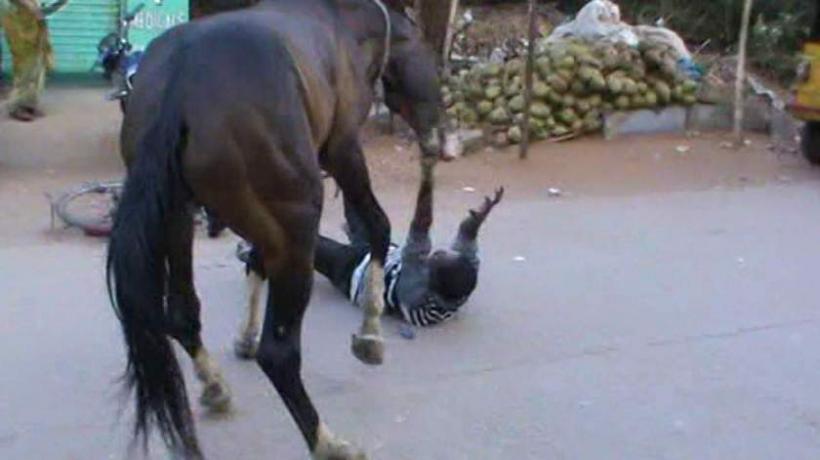Şocant! Un bărbat care își bătea calul a ajuns în stare gravă la spital, după ce animalul l-a lovit cu copita în faţă