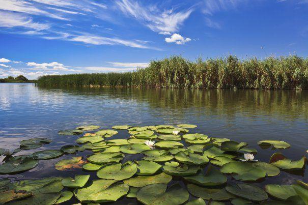 Delta Dunării îşi reintră în drepturi: numărul turiştilor, în creştere