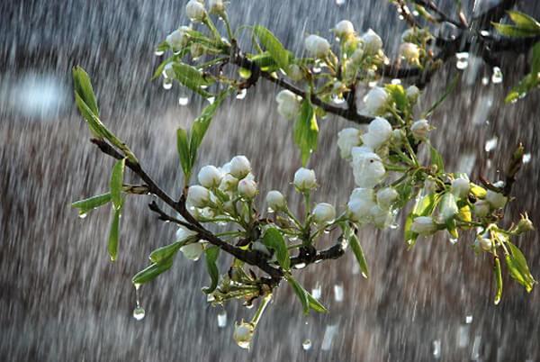 Prognoza METEO pentru 18, 19 și 20 aprilie: Precipitaţii
