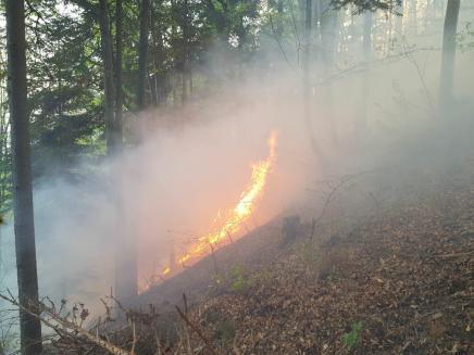 Peste 125 de pompieri intervin pentru stingerea unui incendiu de litieră în Asău 