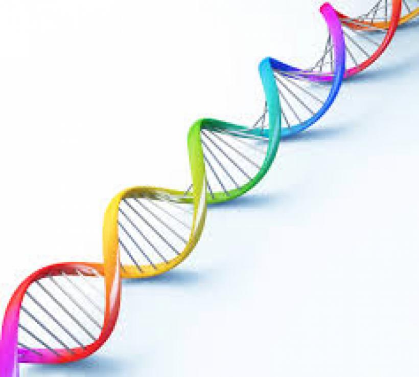 15 lucruri surprinzătoare despre ADN