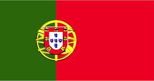 Portugalia aderă la Centrul NATO pentru apărare cibernetică de la Tallinn